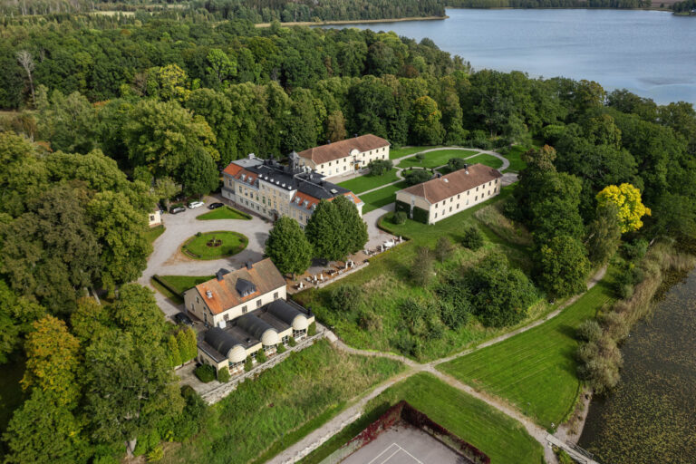 Dronarvy 10